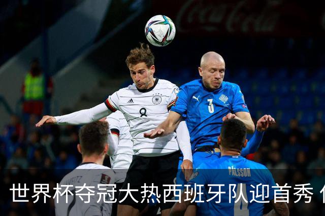 世界杯夺冠大热西班牙队迎首秀 伊朗队入境美国参赛